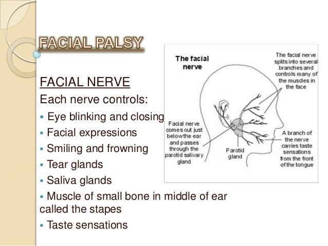 Red tube amatuer drunk mature pov Facial paralysis and neuralgia